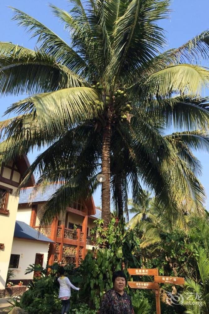 Hainan Bulongsai Resort Hotel Baoting Εξωτερικό φωτογραφία